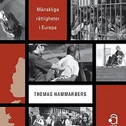 Retoriken och verkligheten av Thomas Hammarberg.