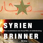 "Syrien brinner" av Aron Lund.
