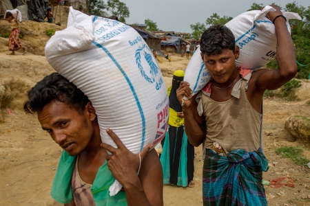 FN-organet WFP delar ut ris till flyktingarna.