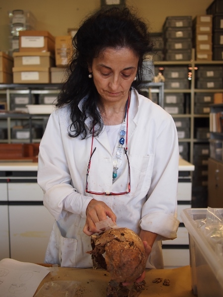  Osteologen Lourdes Herrasti markerar kulhålet i ett kranium från en massgrav i Navarra. 