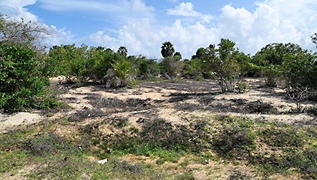 Landskapet i Mullivaikal bär fortfarande spår av slutfasen i kriget, då området bombades intensivt av regeringsstyrkor.