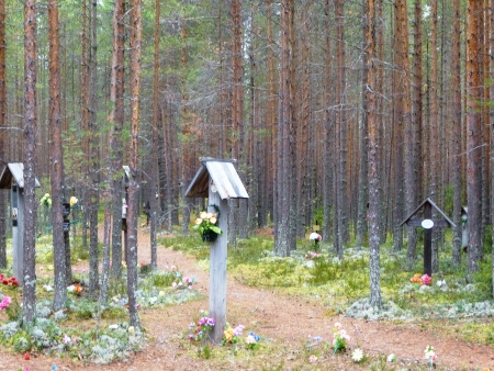 Här i de karelska skogarna sköts tiotusentals personer under Stalintiden.