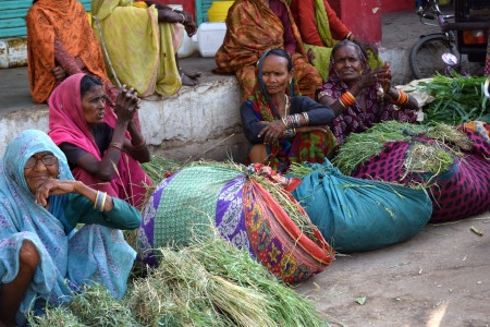 Dalitkvinnor vid en väg i Yamuna Nagar i delstaten Haryana. En studie visar att 85 procent av daliterna i delstaten saknar tillgång till egna åkermarker – vilket gör dem särskilt sårbara.