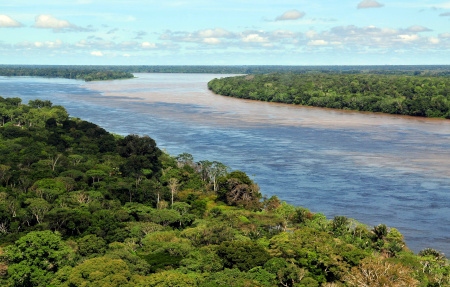 Flygbild över Amazonas nära Manaus.