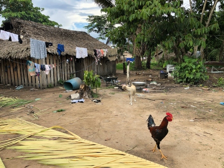 I byn Kamaú ägs alla tillgångar gemensamt. Guldpengarna har bland annat gått till sjukvård, en bil, bensin och universitetsutbildning åt ett par av byns ungdomar. 