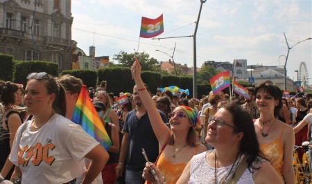  Den nya lagen har väckt starka reaktioner och Prideparaden i Budapest den 24 juli blev den största någonsin i Ungerns historia. 