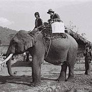 Under sin tid i Kachinstaten reste Bertil Lintner inbäddad med KIO, men var noga med att visa sitt oberoende som journalist, i det här fallet med en "PRESS"-skylt på elefanten han reste med.