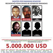 Allt fler av de efterlysta för folkmordet i Rwanda har gripits.
