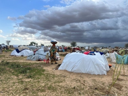 Flyktingar från Sudan i läger i Adre i östra Tchad. Under sommaren har antalet flyktingar i Tchad ökat snabbt när striderna har fortsatt i västra Sudan.