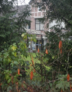 I Bloemenhove, en förort i Amsterdam, ligger abortkliniken där kvinnor från många europeiska länder söker hjälp.
